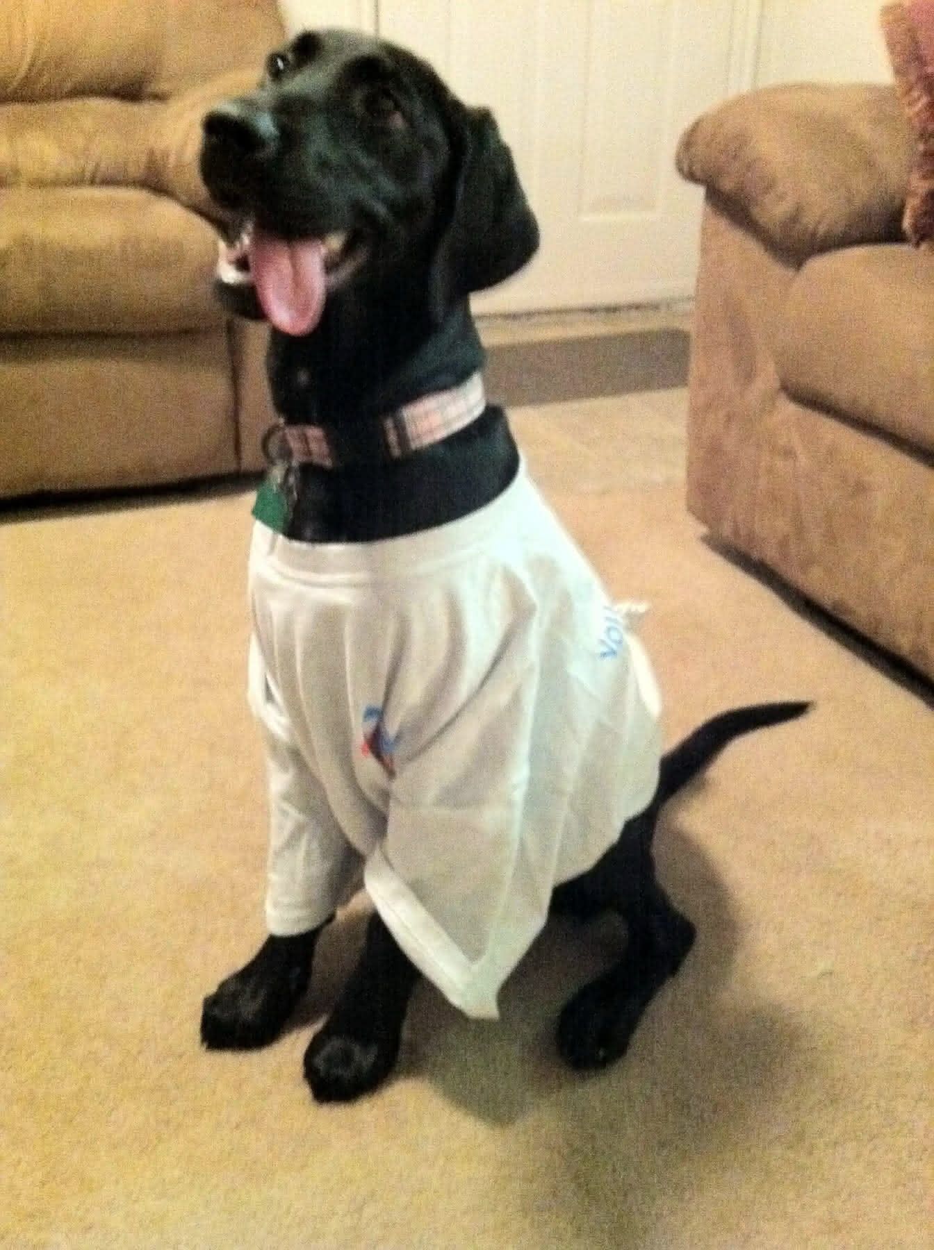 Ellie in a t-shirt