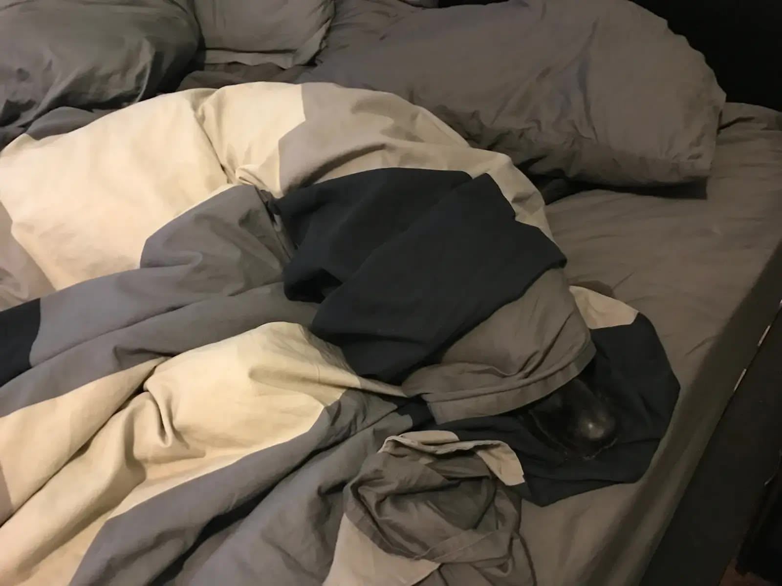 Ellie all tucked in