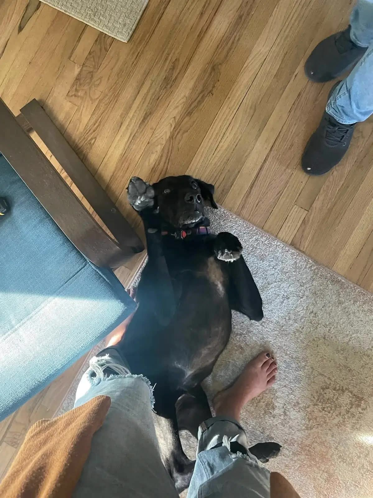 Ellie being a goof