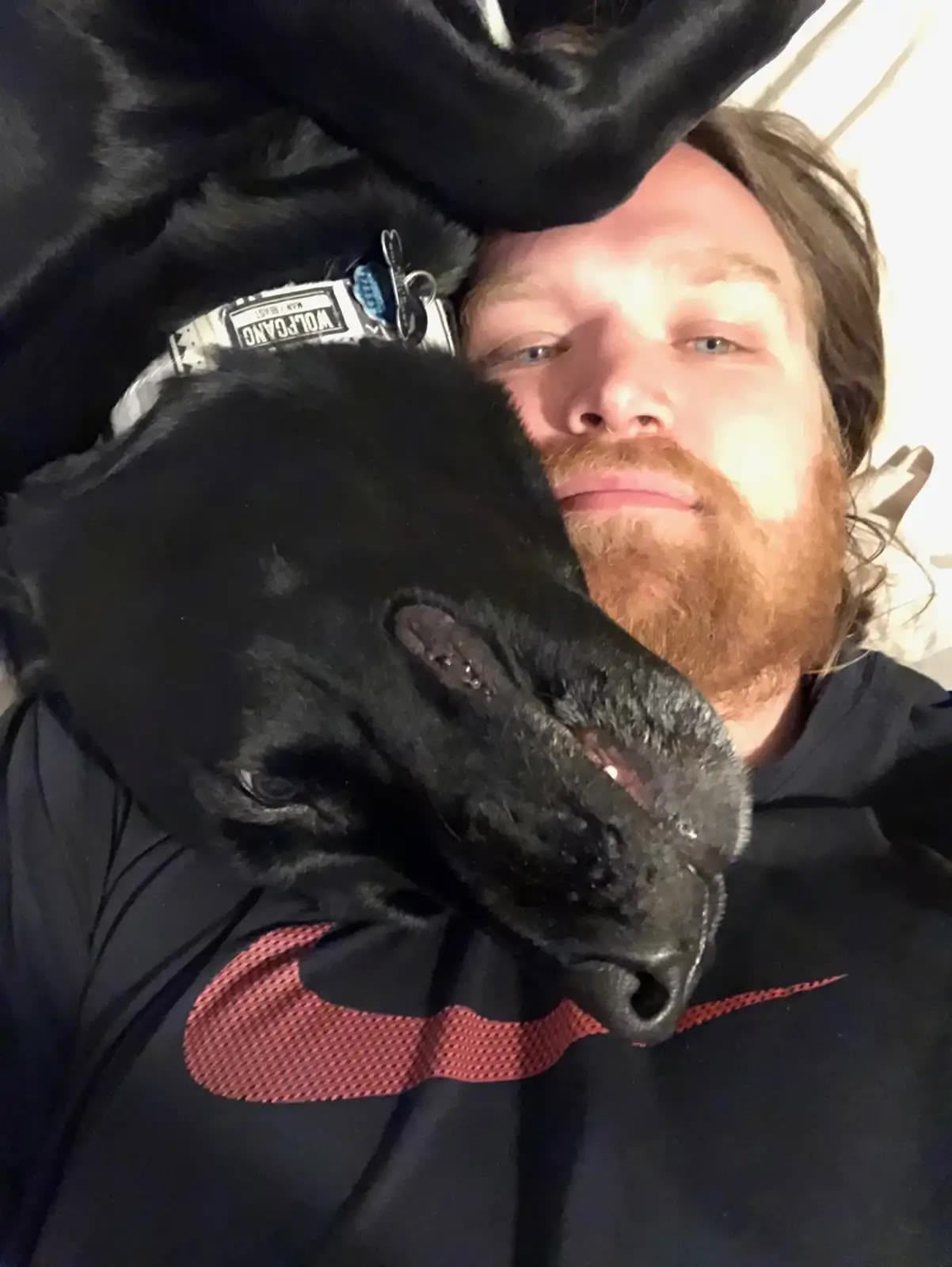Ellie laying on my shoulder