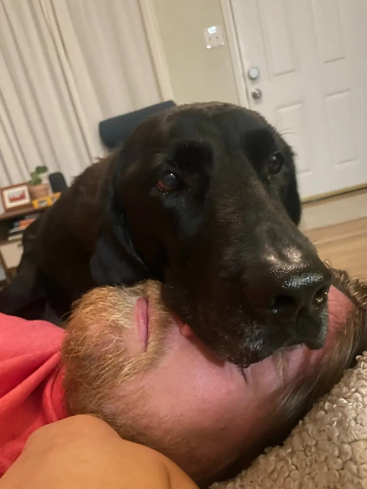 Ellie laying her face on mine