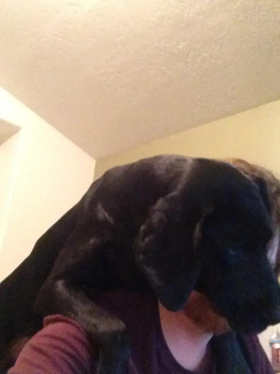 Ellie looking over my shoulders