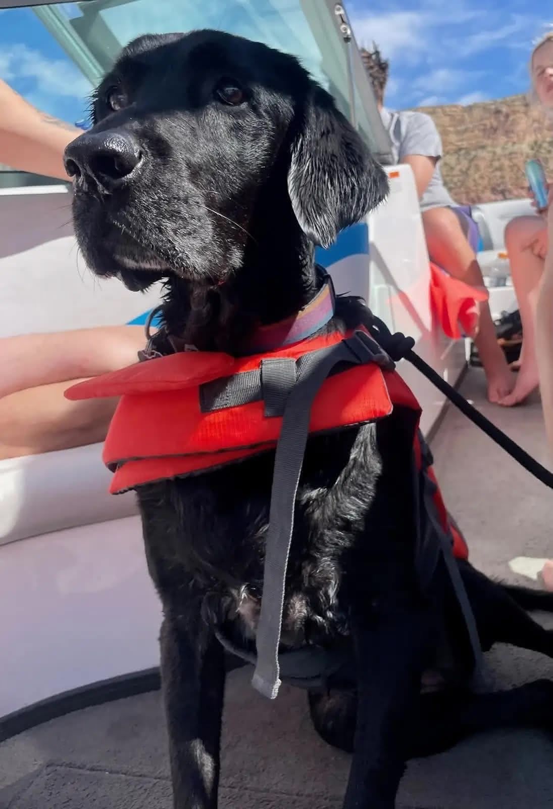 Ellie in her life jacket