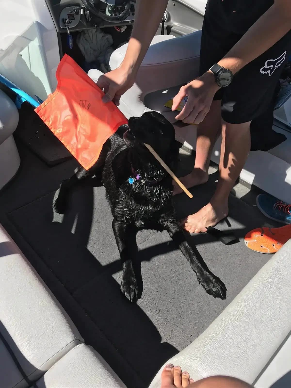 Ellie looking pretty at the beach